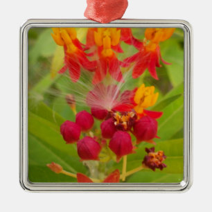 Hübsches farbenfrohes Blumendesign mit Milkweed Ku Ornament Aus Metall