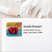 Hübsches Foto einer Lotus-Blume in einem Teich (Insitu)