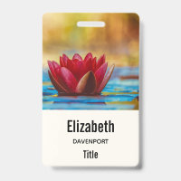 Hübsches Foto einer Lotus-Blume in einem Teich