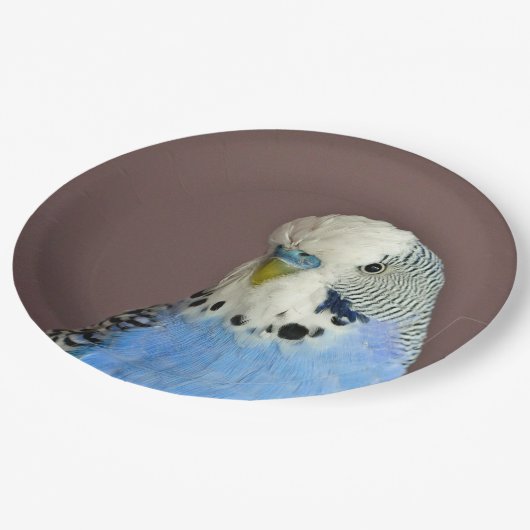 Hübsches Foto Pappteller (Schrägansicht)