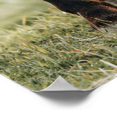 Hübsches Foto Poster (Ecke)