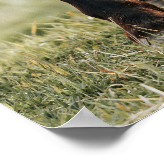 Hübsches Foto Poster (Ecke)