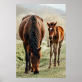 Hübsches Foto Poster (Vorne)