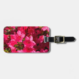 Hübsches Foto Rosa Azaleen Schließen Gepäckanhänge Gepäckanhänger