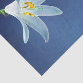 Hübsches Foto Seidenpapier (Ausschnitt)