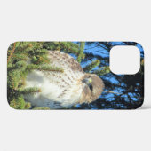 Hübsches Foto von Rotschwanzhawk Pine Tree Case-Mate iPhone Hülle (Rückseite (Horizontal))