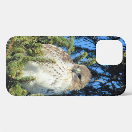Hübsches Foto von Rotschwanzhawk Pine Tree Case-Mate iPhone Hülle (Rückseite (Horizontal))