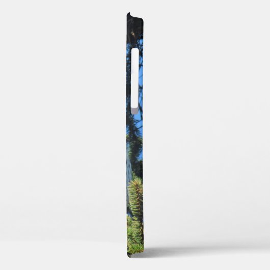 Hübsches Foto von Rotschwanzhawk Pine Tree Case-Mate iPhone Hülle (Rückseite / Links)