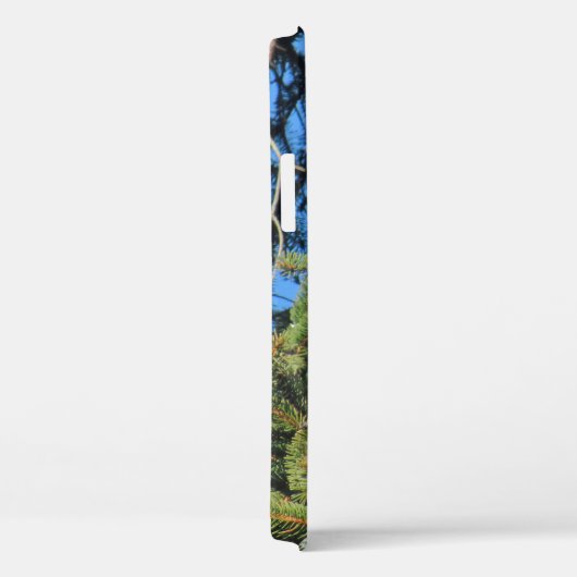 Hübsches Foto von Rotschwanzhawk Pine Tree Case-Mate iPhone Hülle (Rückseite / Rechts)