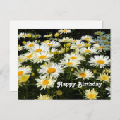 Hübsches Foto White Daisies Garden Floral Geburtst Postkarte (Vorne/Hinten)