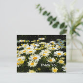 Hübsches Foto White Daisies Garden Floral Vielen D Postkarte (Stehend Vorderseite)