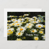 Hübsches Foto White Daisies Garden Floral Vielen D Postkarte (Vorne/Hinten)