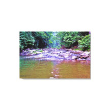 Hübsches Gebirge Sonnenlicht Bäume Creek Foto