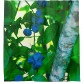 Hübsches Gemüse Duschvorhang (Vorderseite)