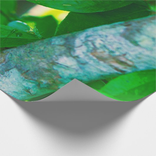 Hübsches Gemüse Geschenkpapier (Ecke)