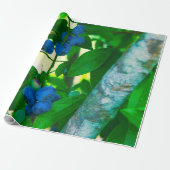 Hübsches Gemüse Geschenkpapier (Ungerollt)