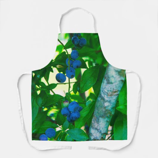 Hübsches Gemüse Schürze (Vorderseite)
