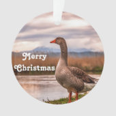 Hübsches Goose Landscape Foto Ornament (Vorderseite)