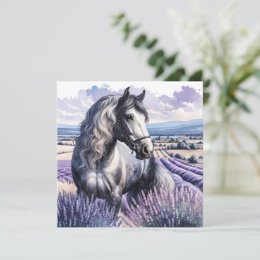 Hübsches Graupferd Stehend in Lavendel (Stehend Vorderseite)