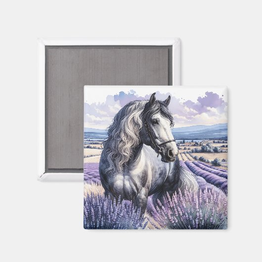 Hübsches Graupferd Stehend in Lavendel Magnet (Vorderseite/Rückseite)