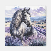 Hübsches Graupferd Stehend in Lavendel Magnet (Vorne)