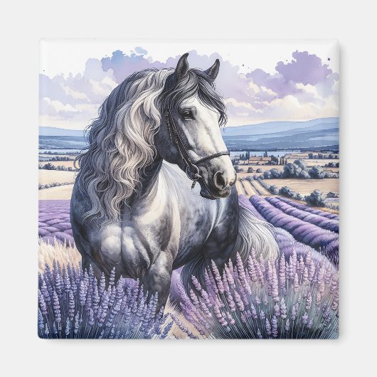 Hübsches Graupferd Stehend in Lavendel Magnet (Vorne)