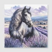 Hübsches Graupferd Stehend in Lavendel Magnetkarte (Vorderseite)