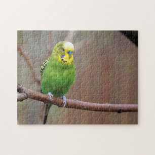 Hübsches Green Budgie Foto Puzzle
