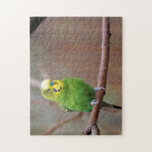 Hübsches Green Budgie Foto Puzzle (Vertikal)