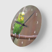 Hübsches Green Budgie Foto Runde Wanduhr (Winkel)