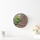 Hübsches Green Budgie Foto Runde Wanduhr (Zuhause)