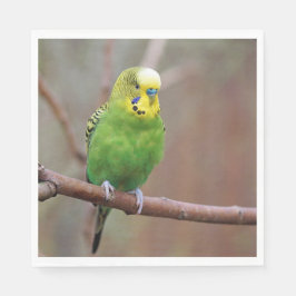 Hübsches Green Budgie Foto Serviette