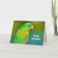 Hübsches Grüner Papagei Foto Geburtstag