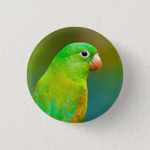 Hübsches Grünes Papagei-Foto Button