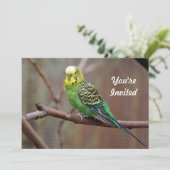 Hübsches grünes Parakeet Foto Geburtstag Einladung (Stehend Vorderseite)
