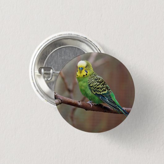 Hübsches grünes Paraket-Foto Button (Vorne & Hinten)