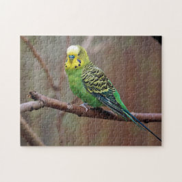 Hübsches grünes Paraket-Foto Puzzle