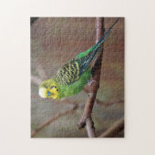 Hübsches grünes Paraket-Foto Puzzle (Vertikal)