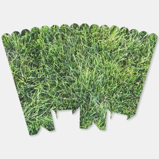 Hübsches Grüngras-Foto-Textur-Muster Spaß Geschenkschachtel (Ungeklappt)