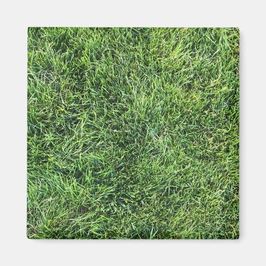 Hübsches Grüngras-Foto-Textur-Muster Spaß Magnet (Vorne)