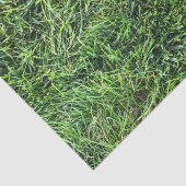 Hübsches Grüngras-Foto-Textur-Muster Spaß Seidenpapier (Detail)