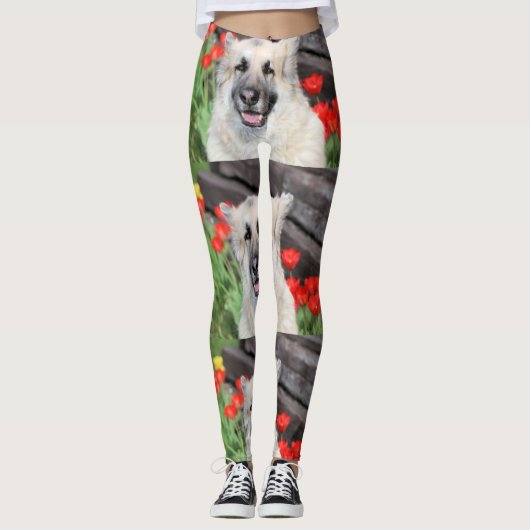 Hübsches GSD Leggings (Vorderseite)