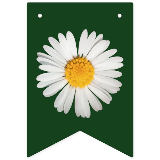 Hübsches helles Gänseblümchen irgendein Wimpelkette (Erste Fahne)