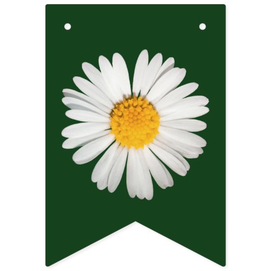 Hübsches helles Gänseblümchen irgendein Wimpelkette (Dritte Fahne)