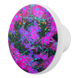 Hübsches Hot Pink, Magenta und Aqua Blue Blumen Keramikknauf