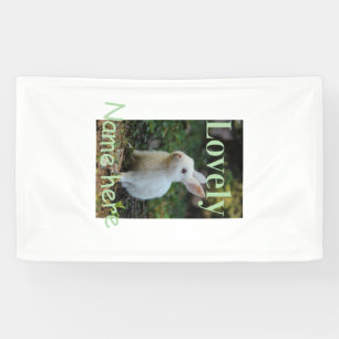 Hübsches Kaninchen-Haustier-Foto Name grün Pastell Banner