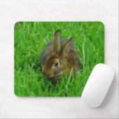 Hübsches Kaninchen Mousepad (Mit Mouse)