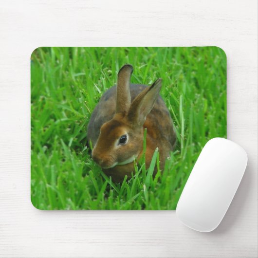 Hübsches Kaninchen Mousepad (Mit Mouse)