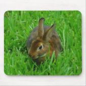 Hübsches Kaninchen Mousepad (Vorne)