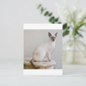 Hübsches Kätzchen Postkarte (Stehend Vorderseite)